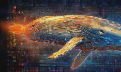 Featured image of post What is Whaling Cyber Awareness? Prevention Tips & Training